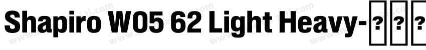 Shapiro W05 62 Light Heavy字体转换